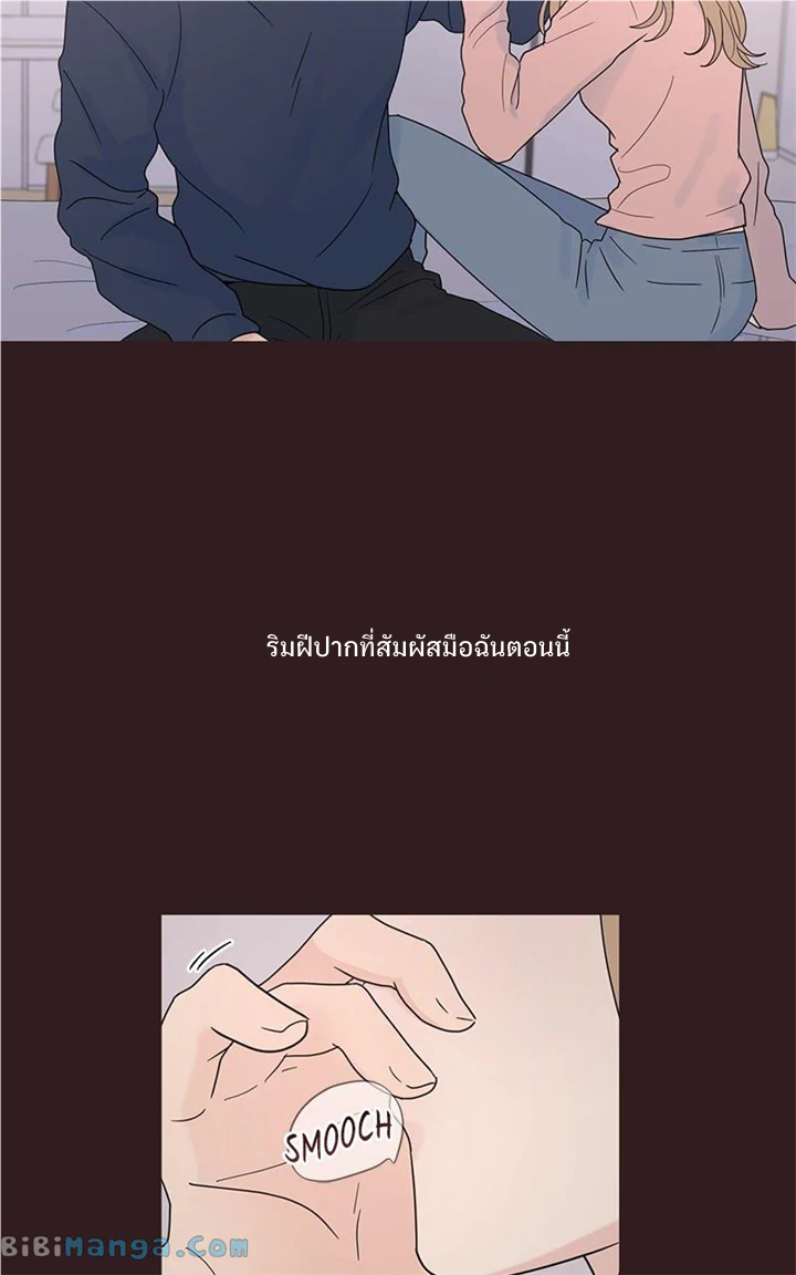 Love or Attraction